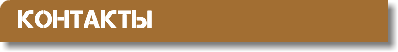 Контакты